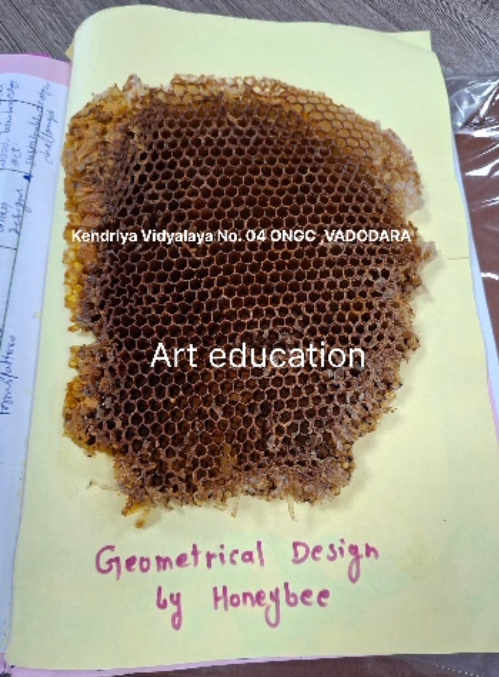 When a Beehive Became a Classroom: Art, Geometry, and Poetry Come Alive