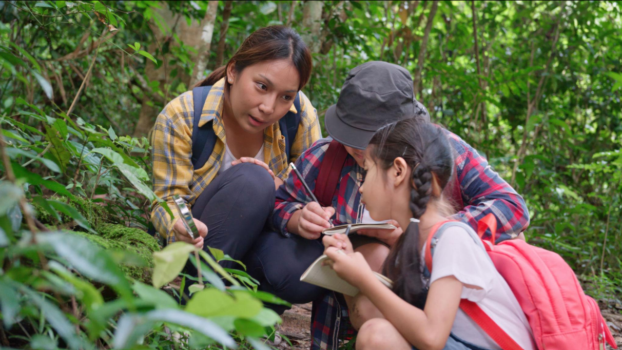 Emile by Rousseau: Why Natural Learning Still Matters in Modern Education